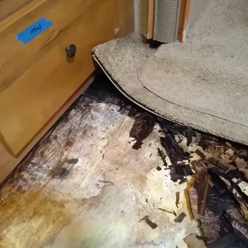 Wood Floor Water Damage in Wesson, MS